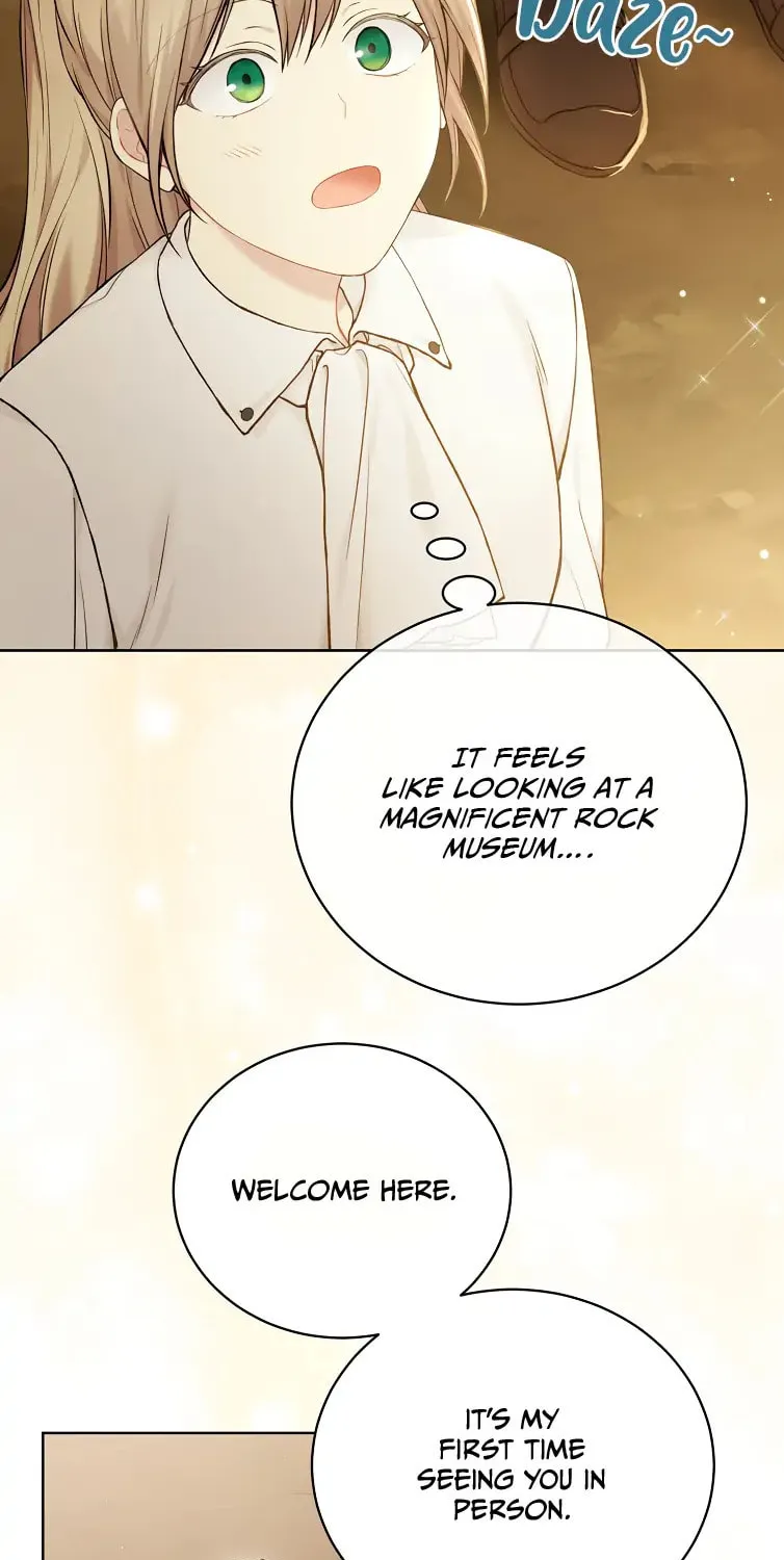 Read The Viridescent Tiara chapter 70 image 73 on Lezhin