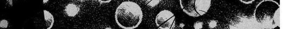 Read The Wandering Single Wing chapter 22 image 24 on Lezhin