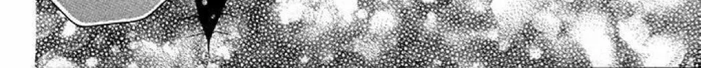 Read The Wandering Single Wing chapter 23 image 41 on Lezhin