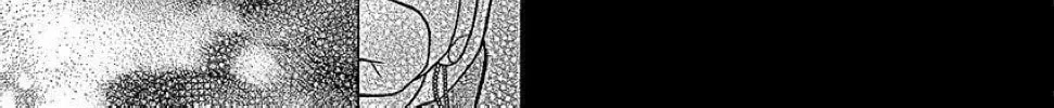 Read The Wandering Single Wing chapter 26 image 11 on Lezhin