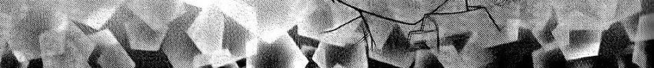 Read The Wandering Single Wing chapter 27 image 17 on Lezhin