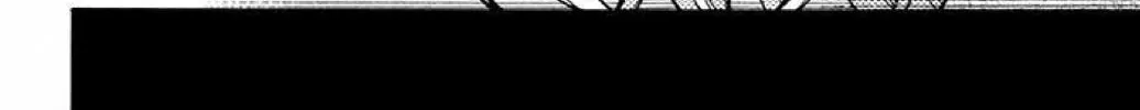 Read The Wandering Single Wing chapter 30 image 44 on Lezhin