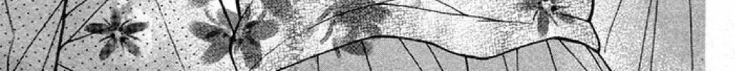Read The Wandering Single Wing chapter 33 image 2 on Lezhin
