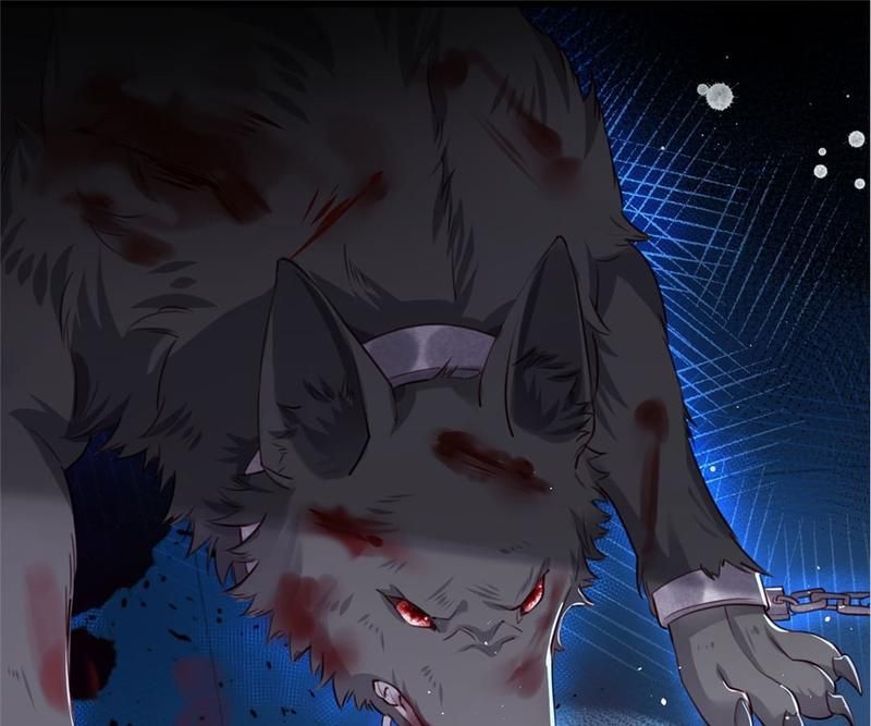 Read The Werewolf Hunter chapter 2 image 9 on Lezhin