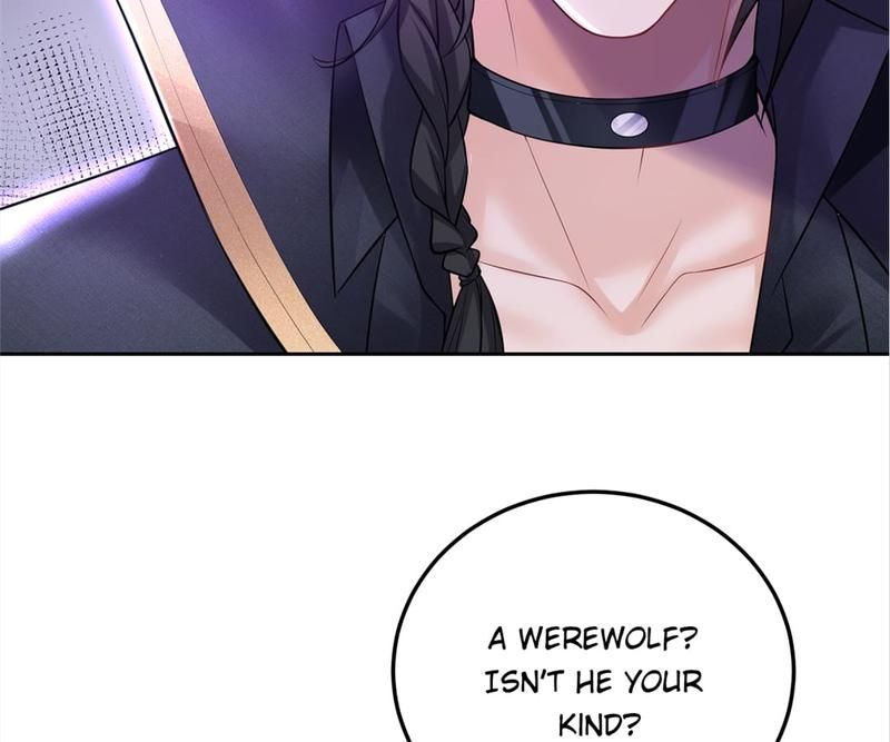 Read The Werewolf Hunter chapter 64 image 64 on Lezhin