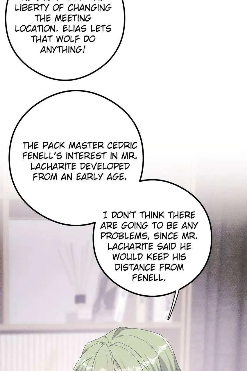 The Werewolf Is Mine Chapter 15 page 17 - 