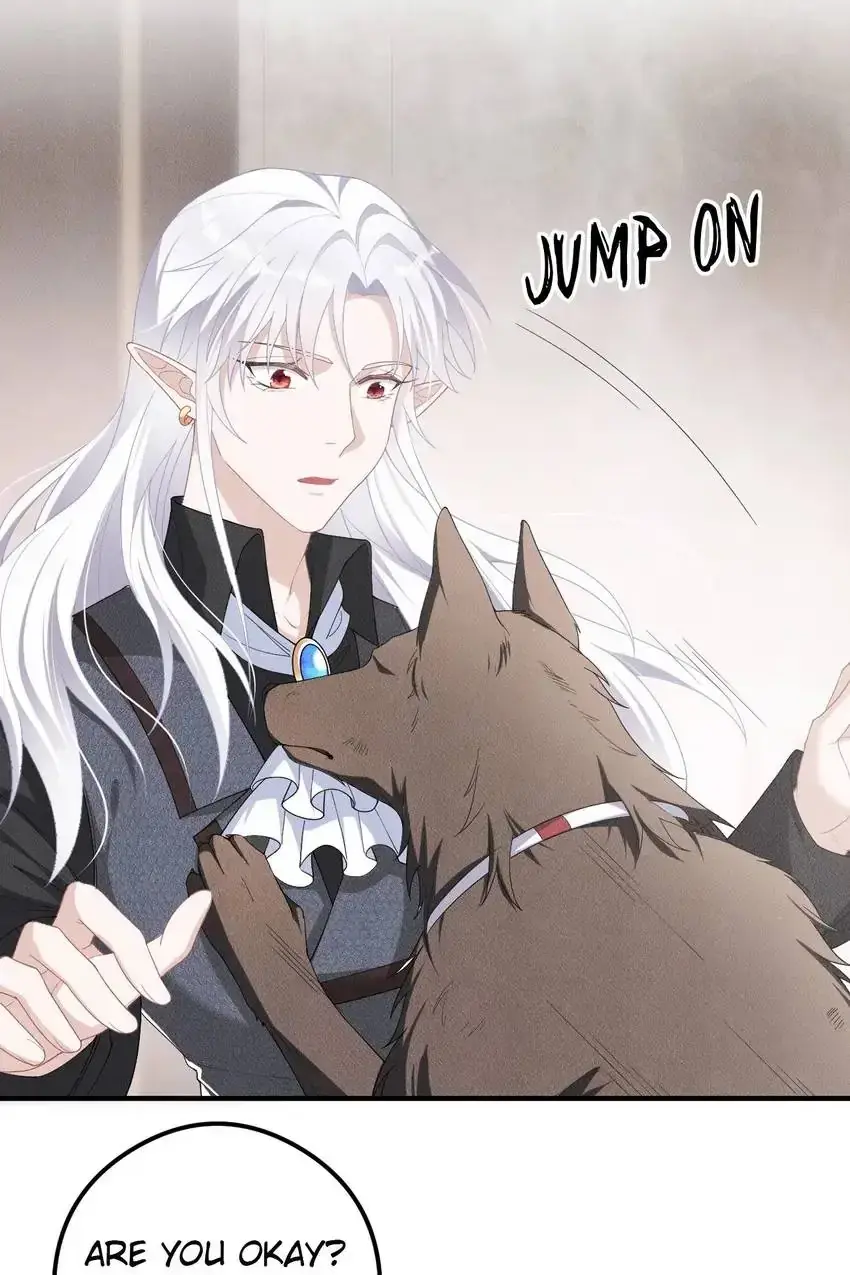 The Werewolf Is Mine Chapter 19 page 45 - 