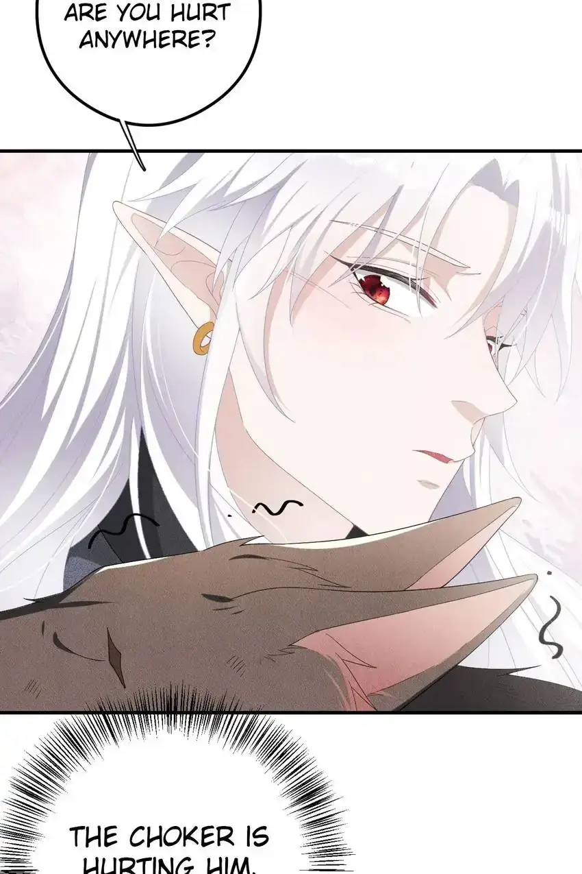 The Werewolf Is Mine Chapter 19 page 46 - 