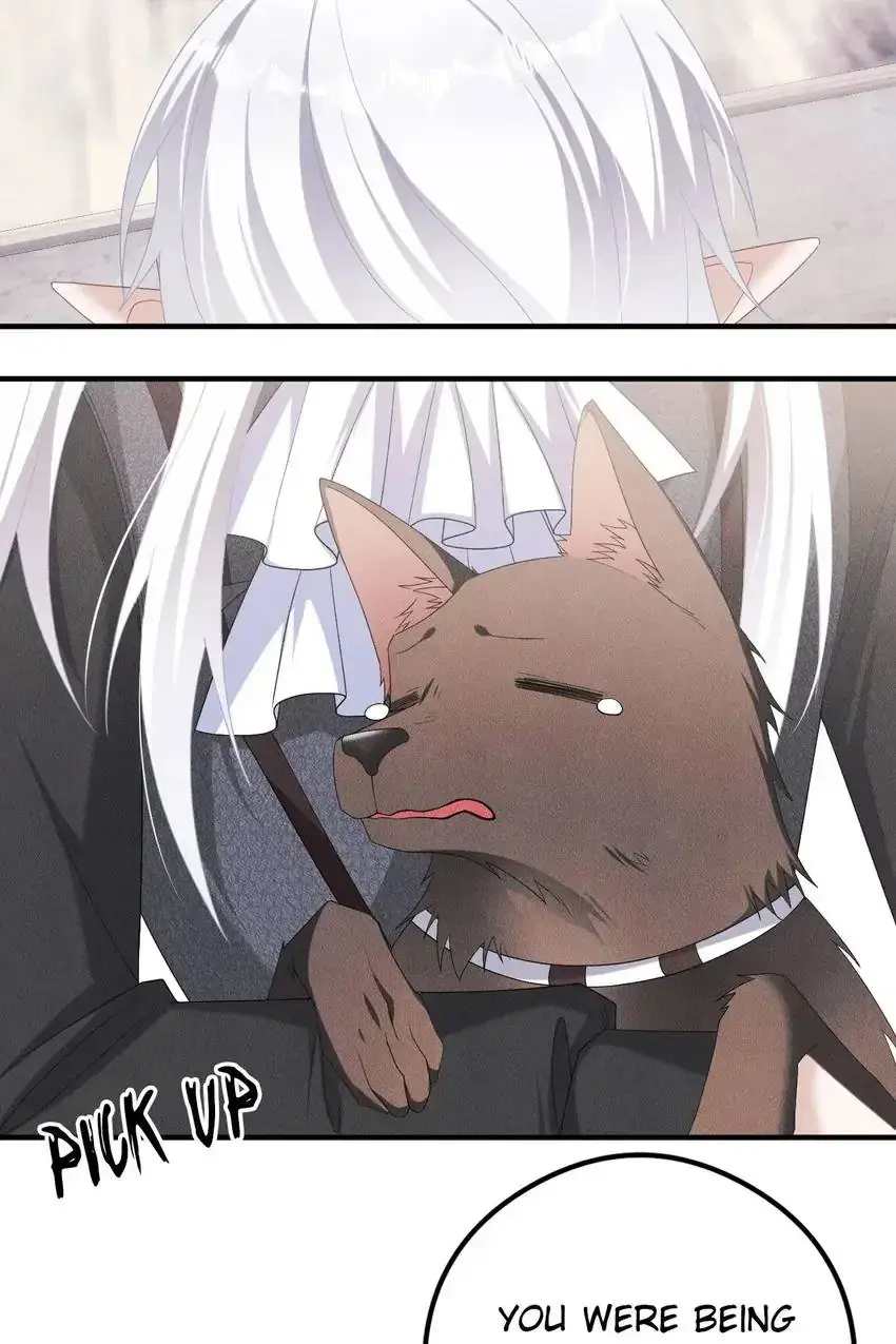 The Werewolf Is Mine Chapter 20 page 34 - 