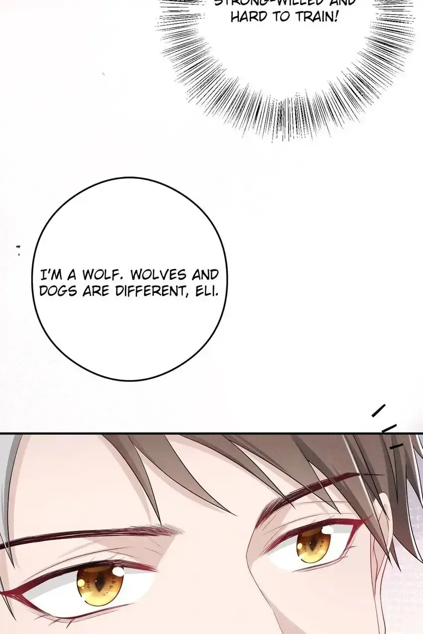 The Werewolf Is Mine Chapter 3 page 54 - 