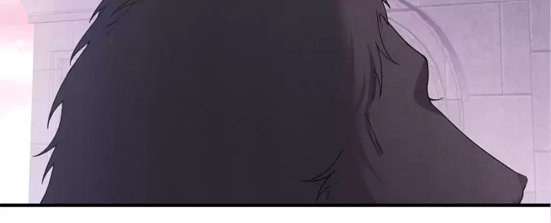 The Werewolf Is Mine Chapter 50 page 41 - 