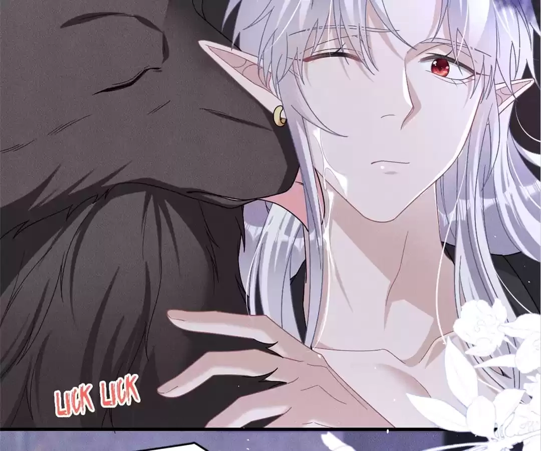 The Werewolf Is Mine Chapter 50 page 83 - 