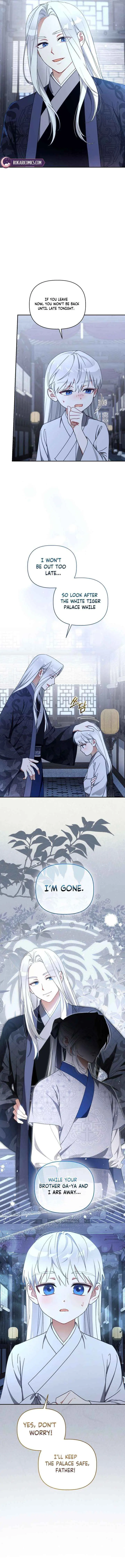 Baby Cotton Ball of the White Tiger Clan Chapter 16 page 2 - 