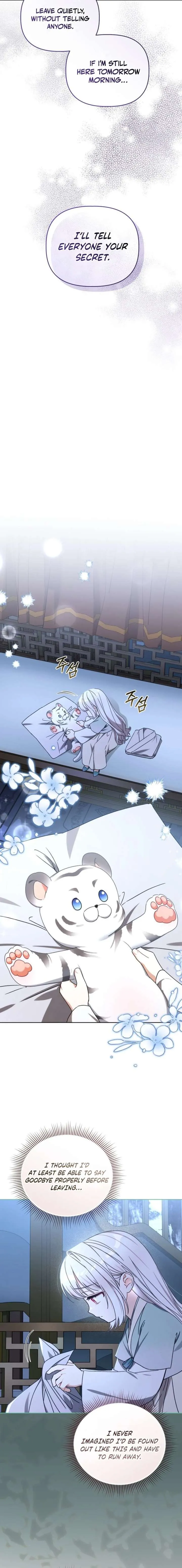 Baby Cotton Ball of the White Tiger Clan Chapter 21 page 17 - 