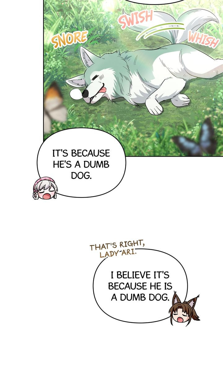 Read The White Tiger
