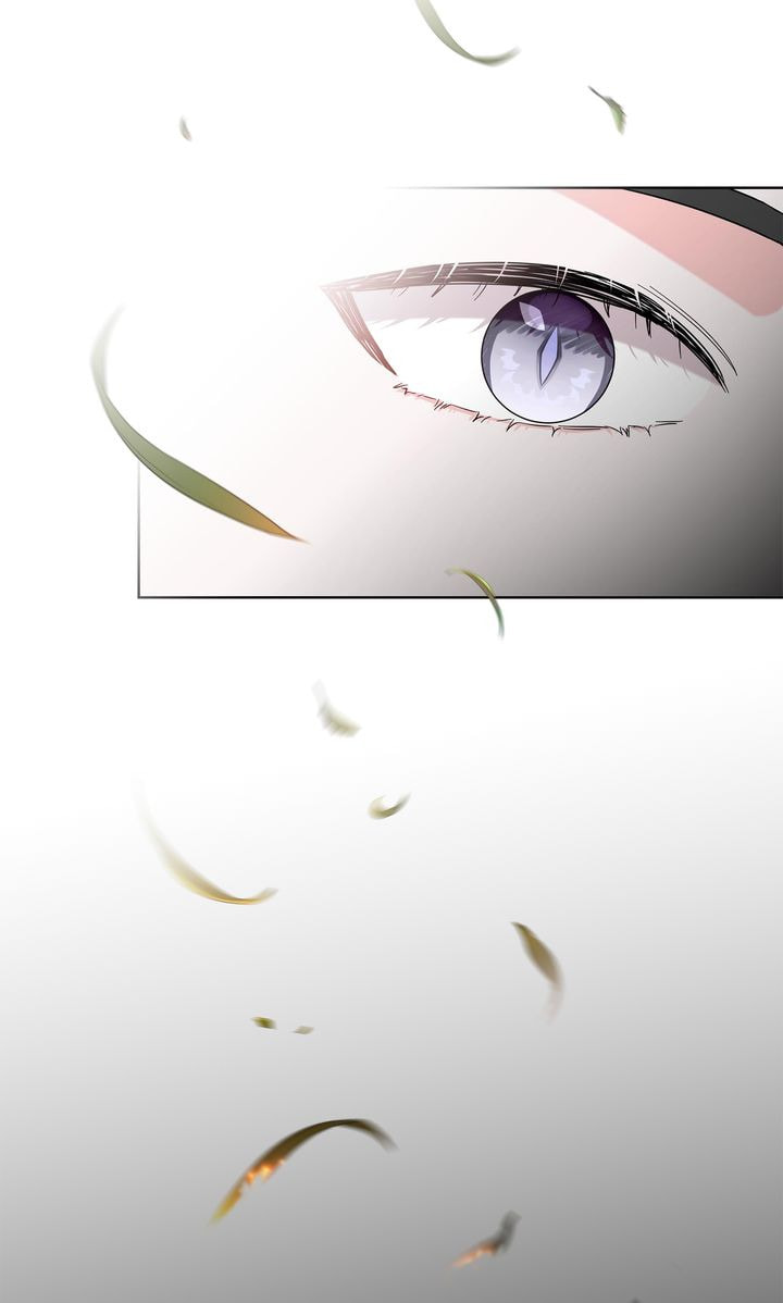 The White Tiger's Daughter Chapter 39 page 97 - 