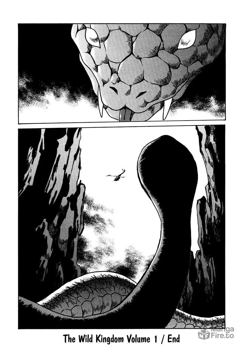 Read The Wild Kingdom chapter 5 image 32 on Lezhin