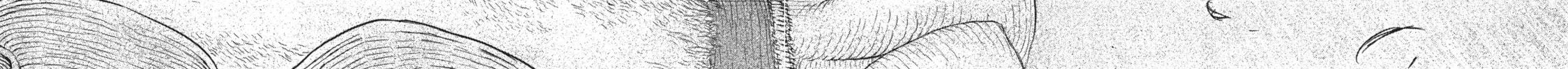 Read The Witch and the Beast chapter 32.5 image 73 on Lezhin