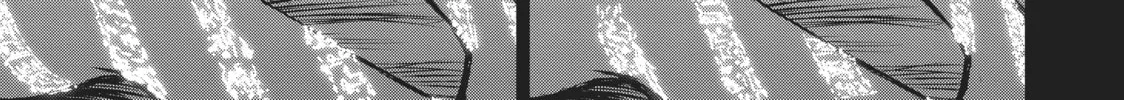 Read The Witch and the Beast chapter 37 image 13 on Lezhin