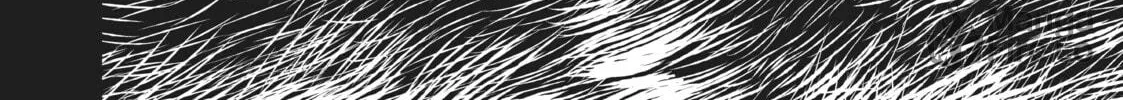 Read The Witch and the Beast chapter 38 image 65 on Lezhin