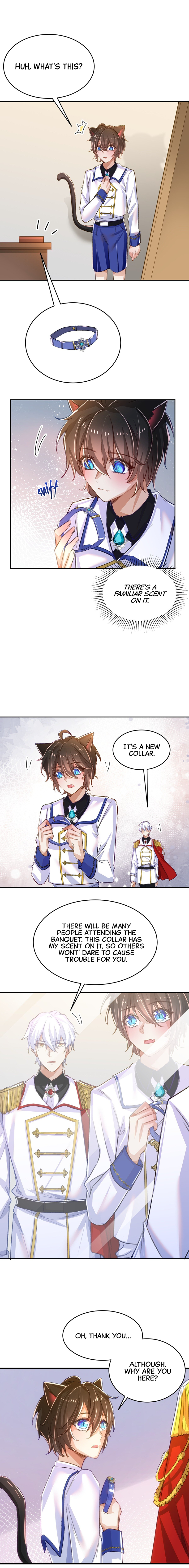 Read The Wolf Marshal