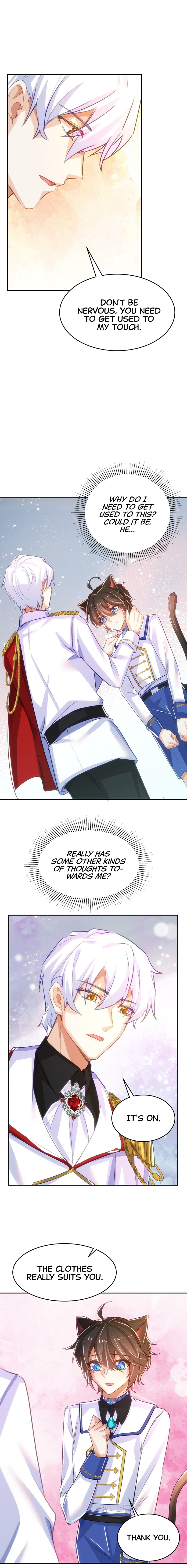 Read The Wolf Marshal