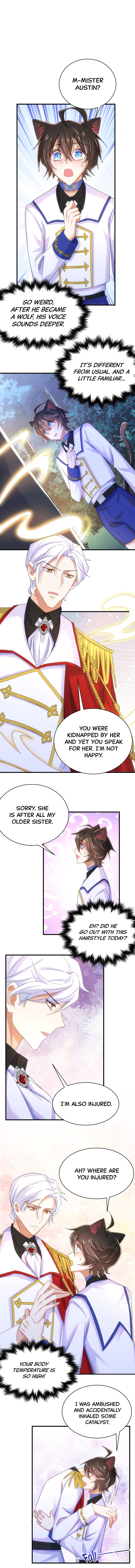 Read The Wolf Marshal
