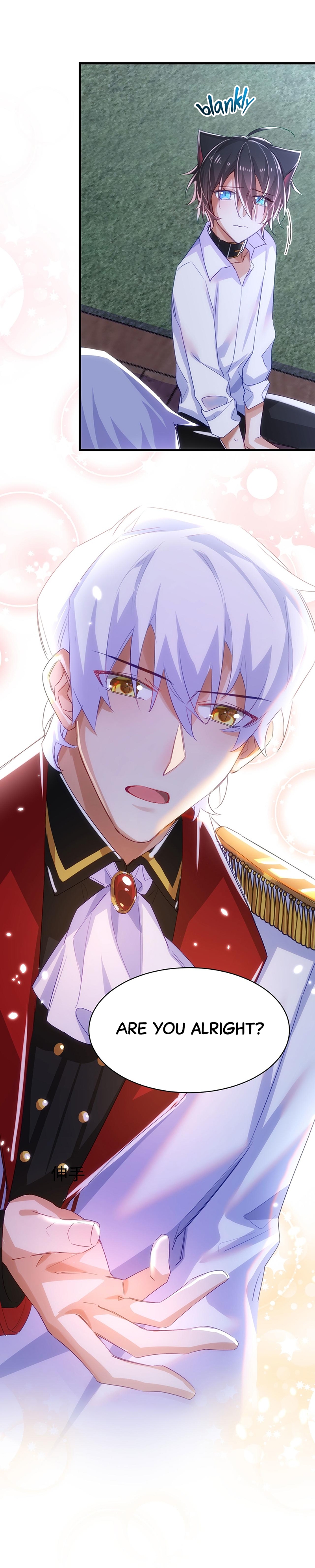 Read The Wolf Marshal