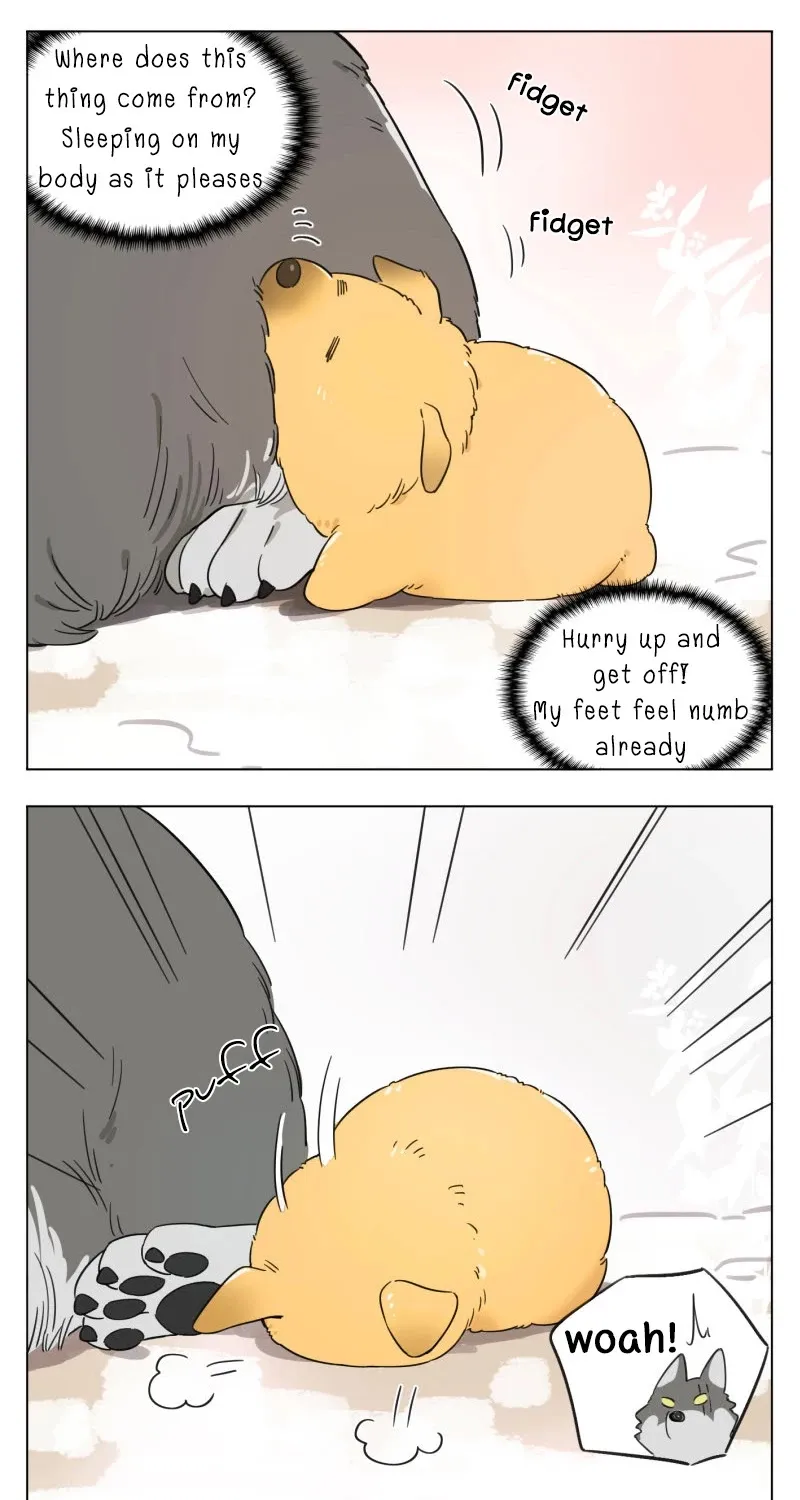 Read The Wolf That Picked Something Up chapter 1 image 1 on Lezhin