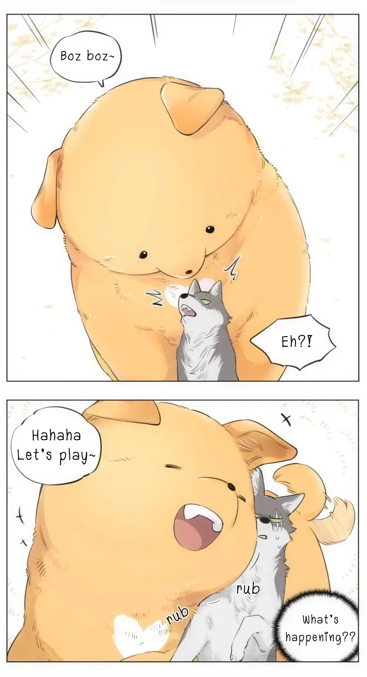 Read The Wolf That Picked Something Up chapter 10 image 1 on Lezhin