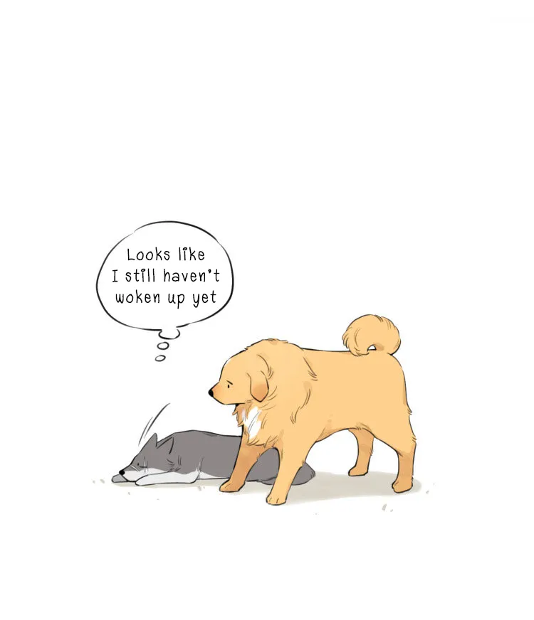 Read The Wolf That Picked Something Up chapter 10 image 9 on Lezhin