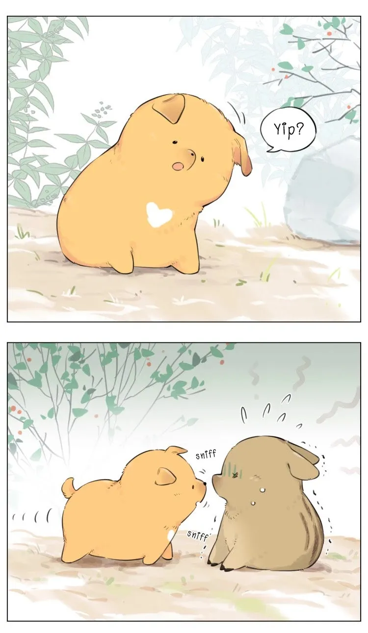 Read The Wolf That Picked Something Up chapter 11 image 1 on Lezhin