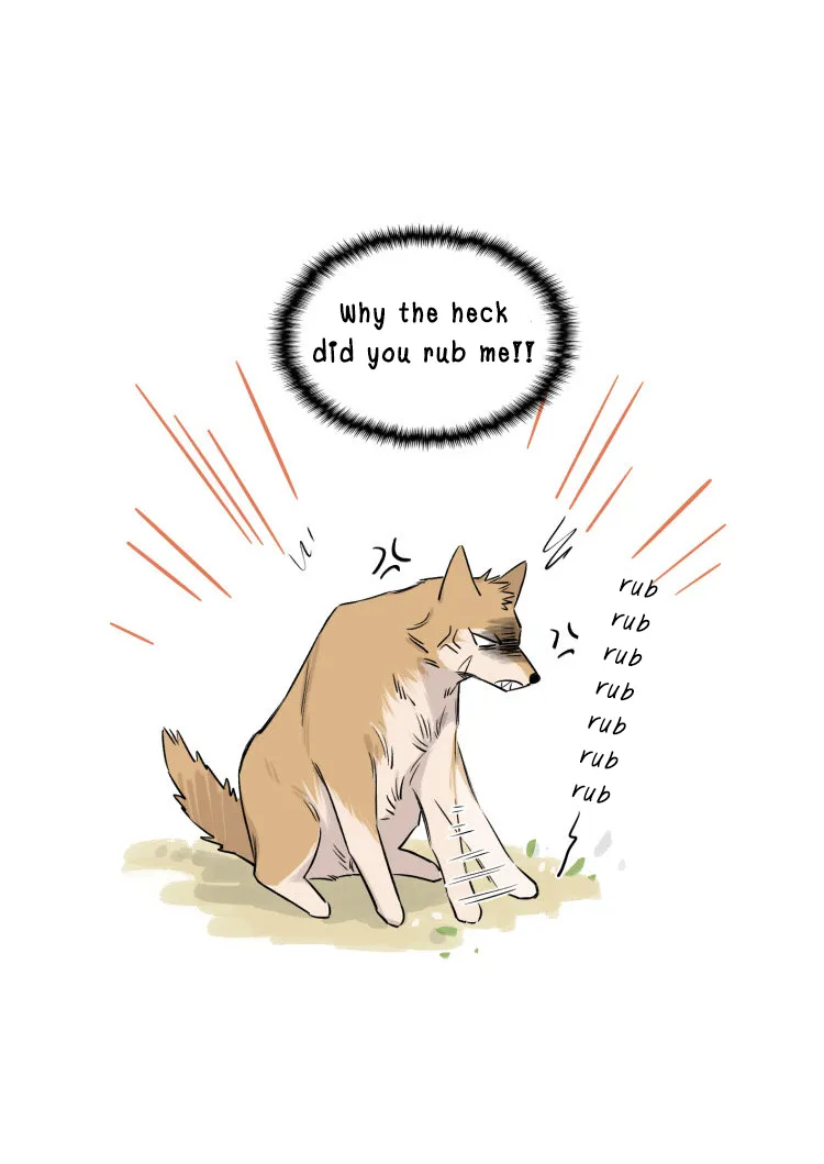 Read The Wolf That Picked Something Up chapter 12 image 10 on Lezhin