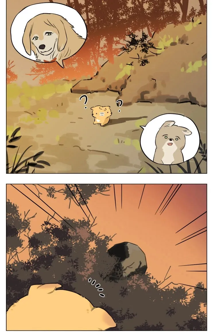 Read The Wolf That Picked Something Up chapter 13 image 10 on Lezhin