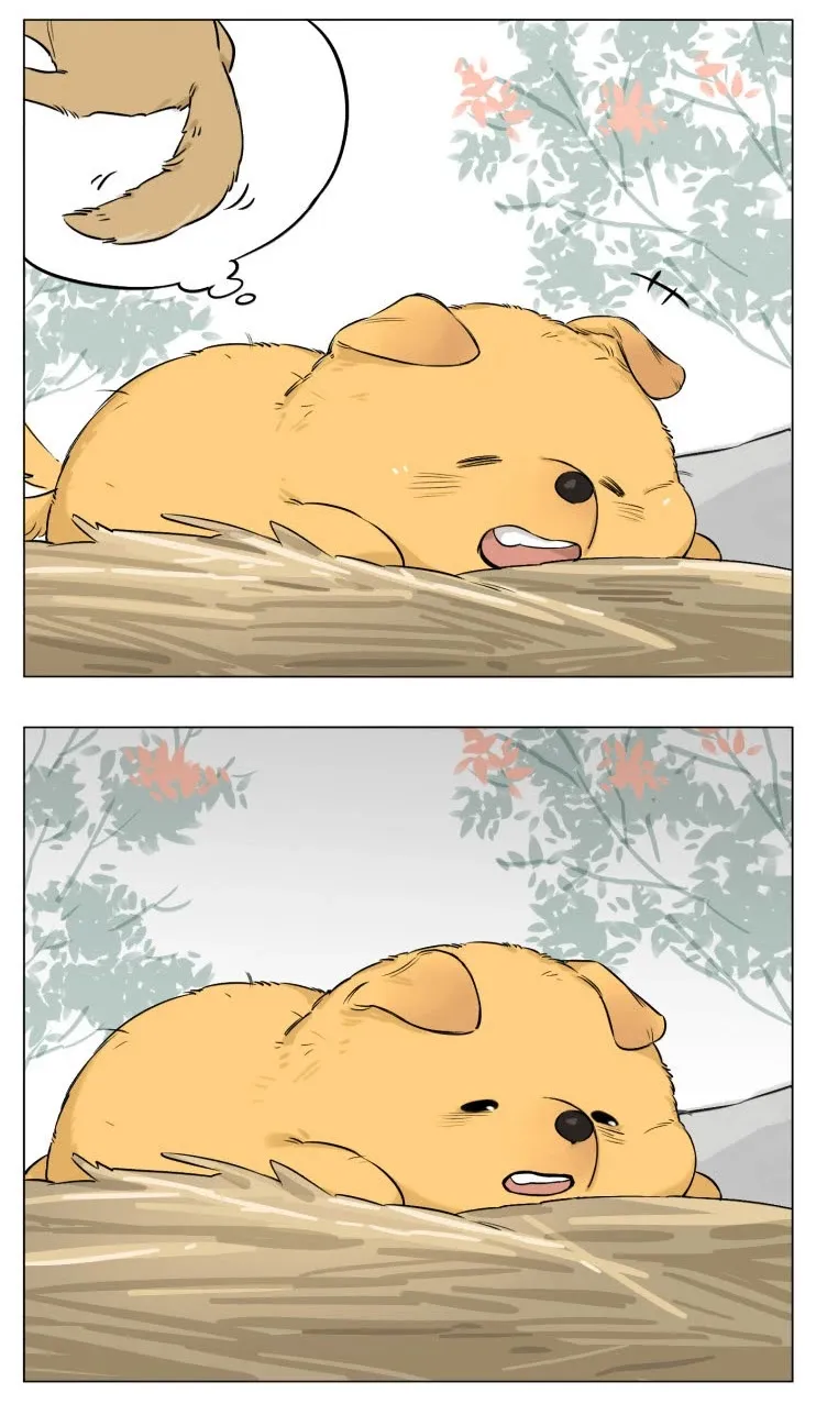 Read The Wolf That Picked Something Up chapter 13 image 16 on Lezhin