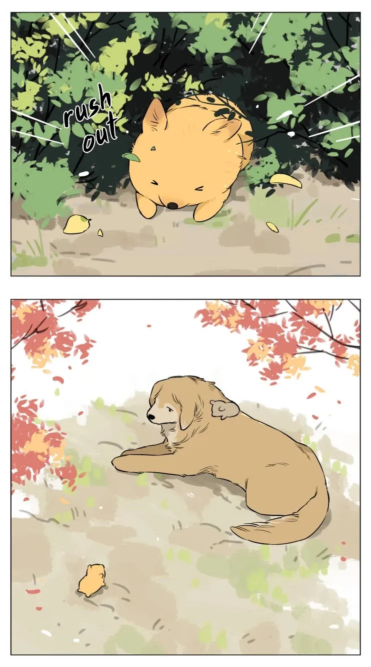 Read The Wolf That Picked Something Up chapter 13 image 18 on Lezhin