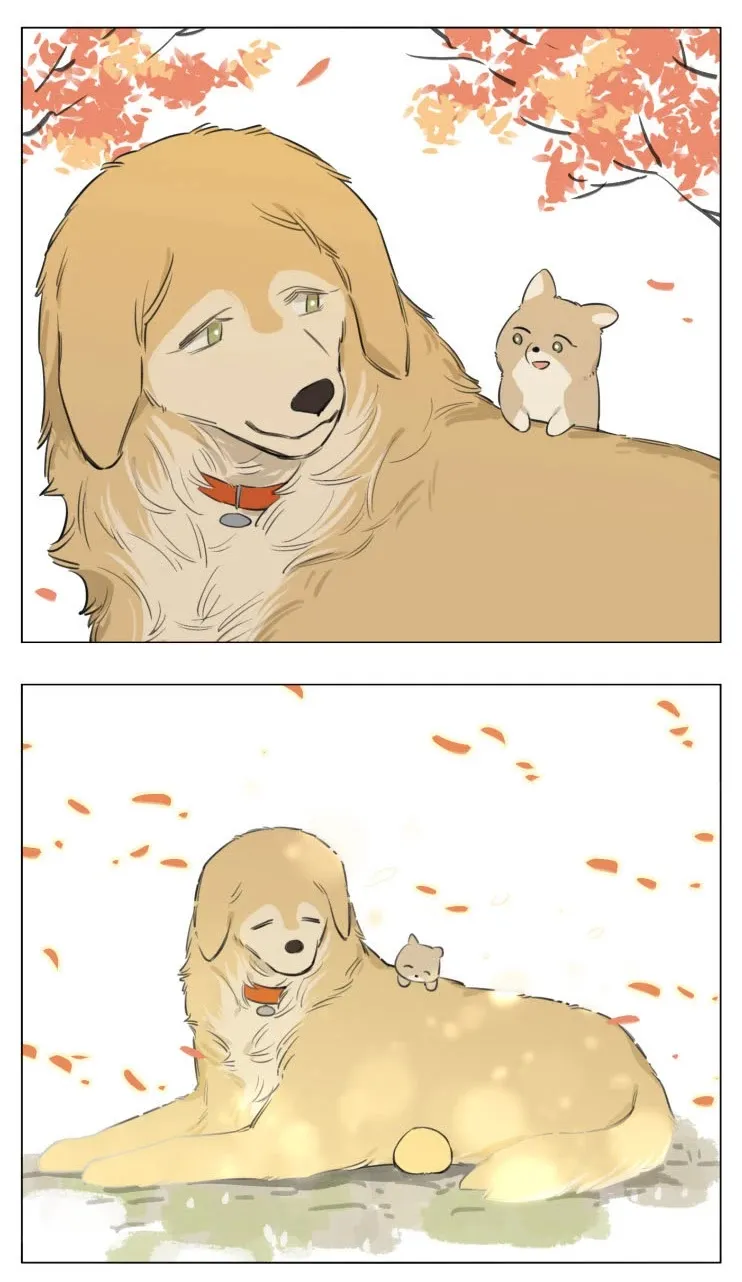 Read The Wolf That Picked Something Up chapter 13 image 20 on Lezhin