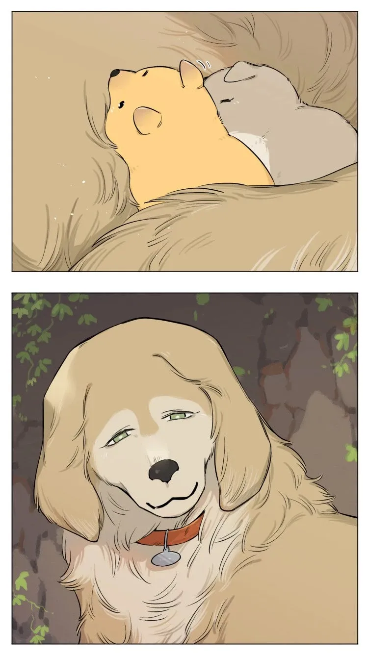 Read The Wolf That Picked Something Up chapter 13 image 5 on Lezhin