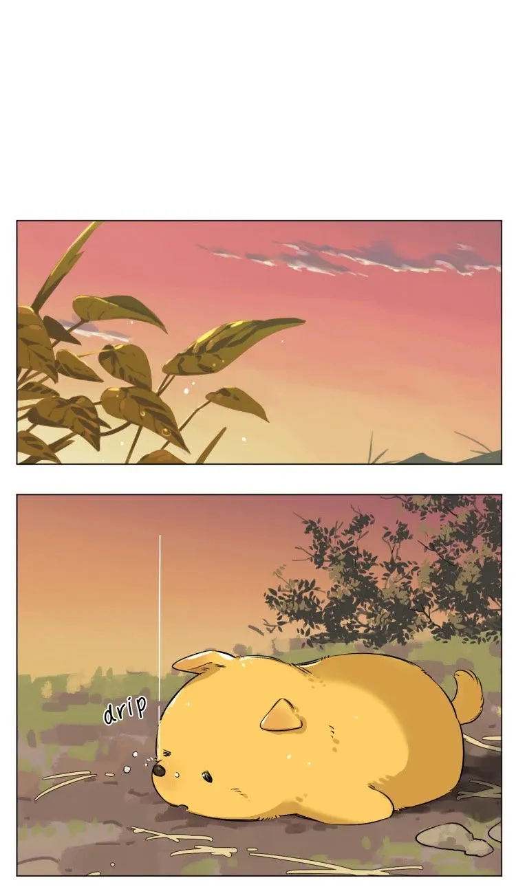 Read The Wolf That Picked Something Up chapter 13 image 7 on Lezhin
