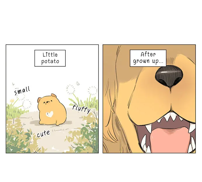 Read The Wolf That Picked Something Up chapter 17 image 3 on Lezhin