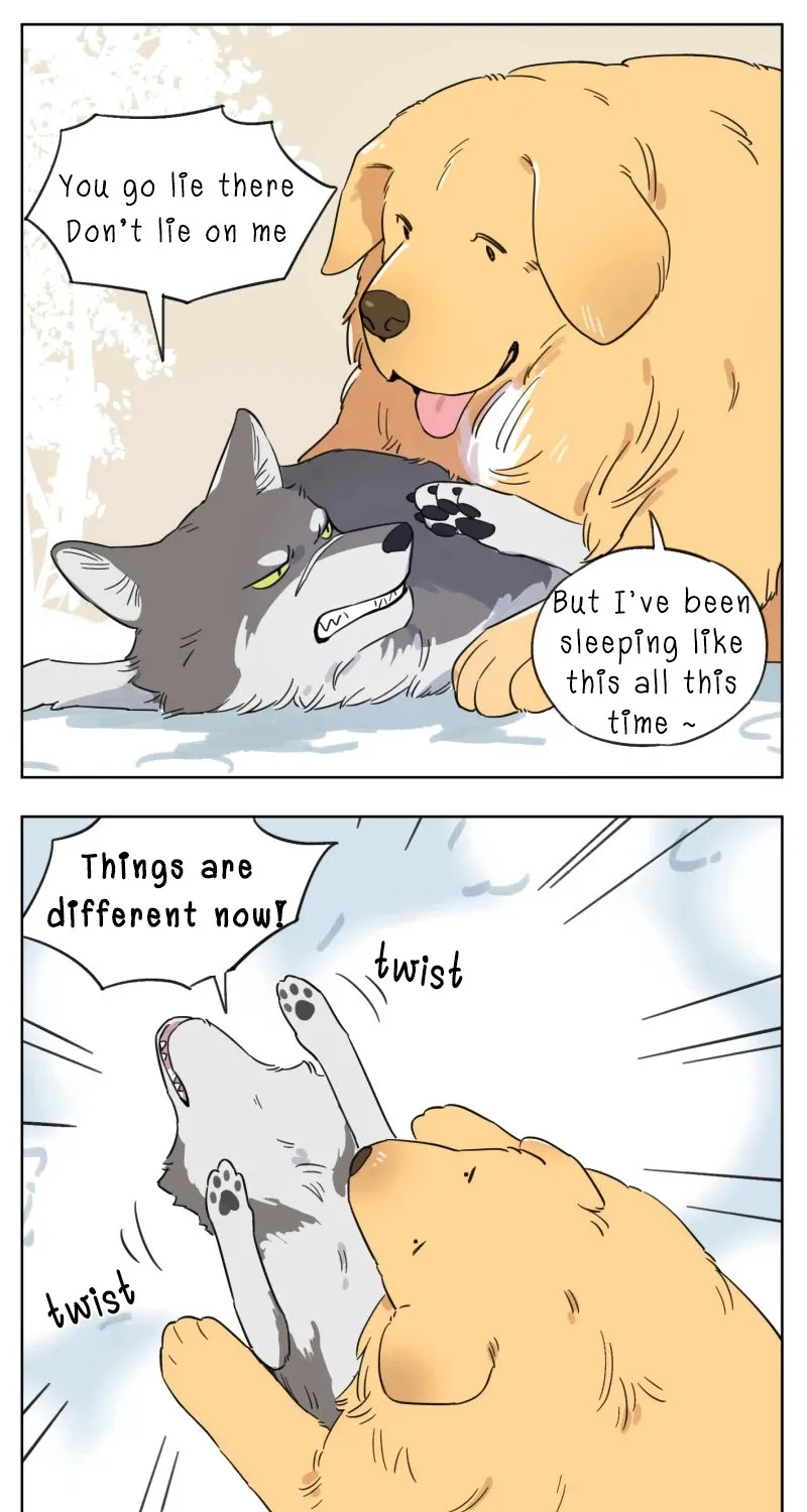Read The Wolf That Picked Something Up chapter 2 image 2 on Lezhin