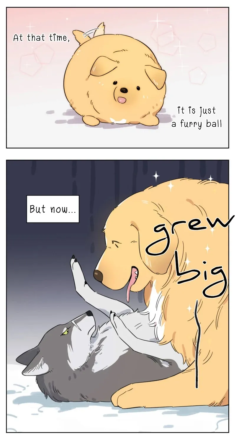 Read The Wolf That Picked Something Up chapter 2 image 4 on Lezhin