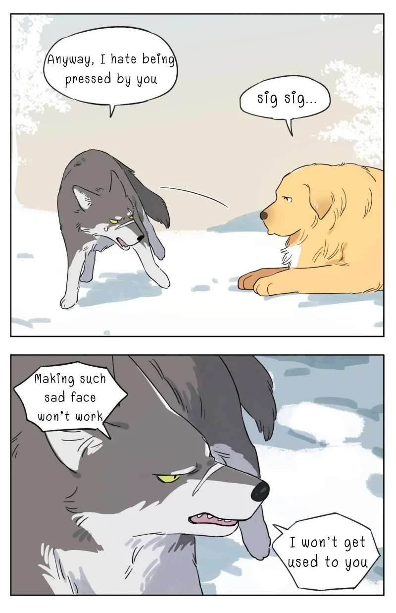 Read The Wolf That Picked Something Up chapter 2 image 5 on Lezhin