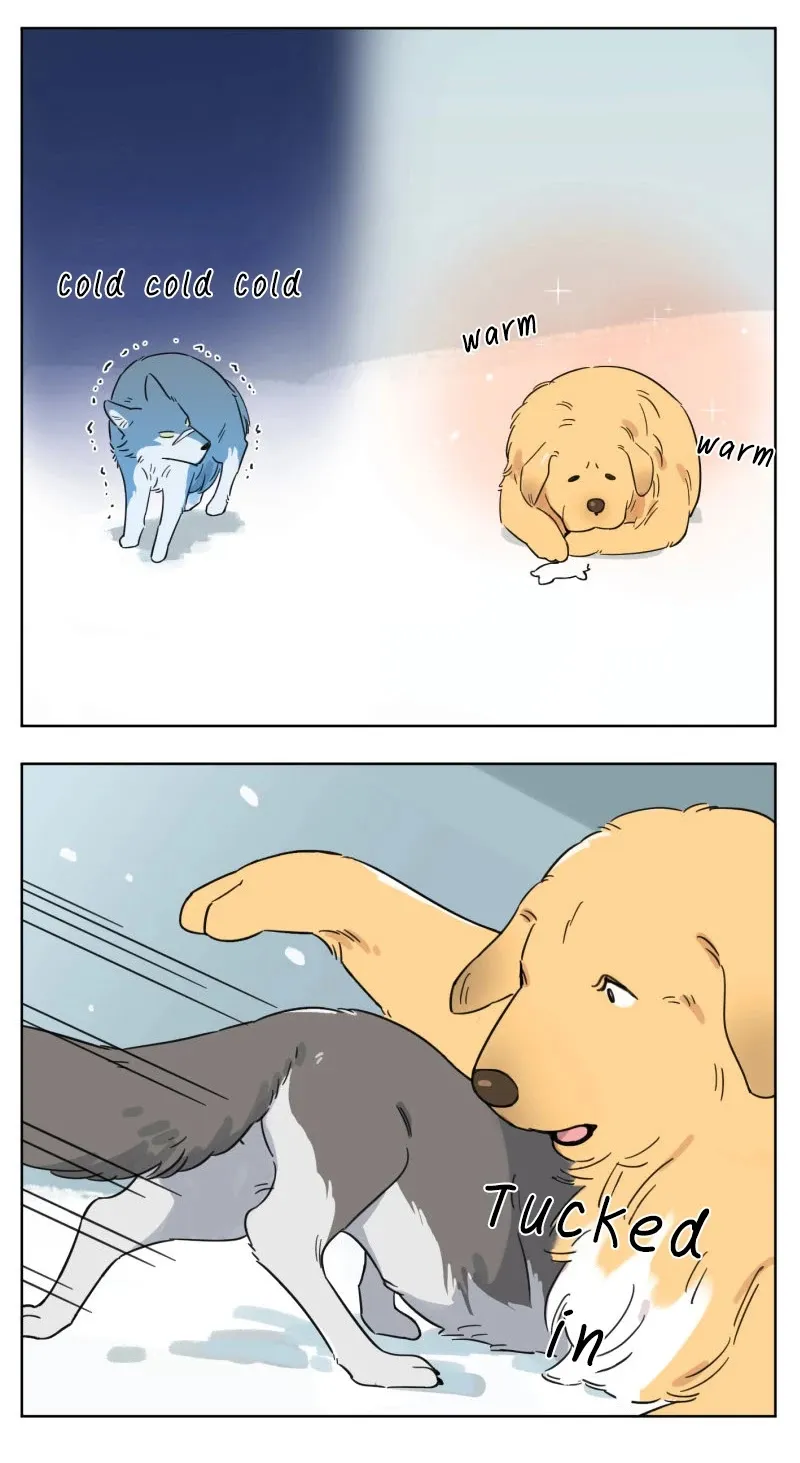 Read The Wolf That Picked Something Up chapter 2 image 7 on Lezhin