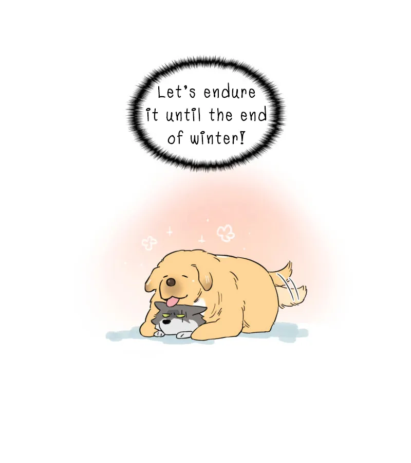 Read The Wolf That Picked Something Up chapter 2 image 8 on Lezhin