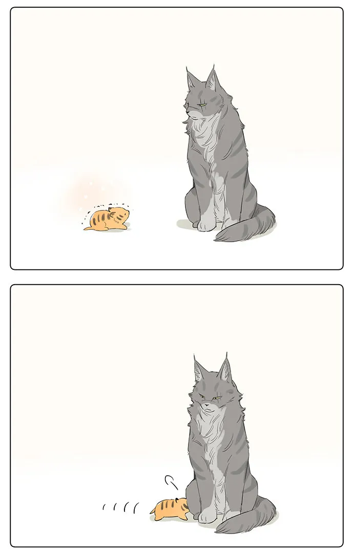 Read The Wolf That Picked Something Up chapter 34 image 4 on Lezhin
