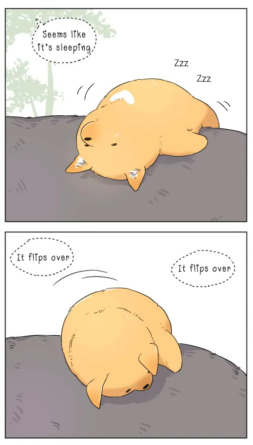 Read The Wolf That Picked Something Up chapter 4 image 2 on Lezhin