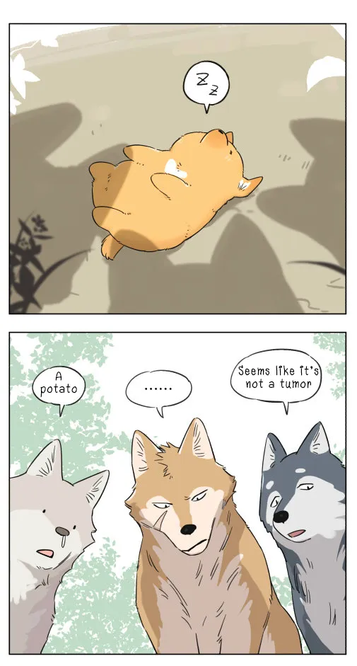 Read The Wolf That Picked Something Up chapter 4 image 4 on Lezhin