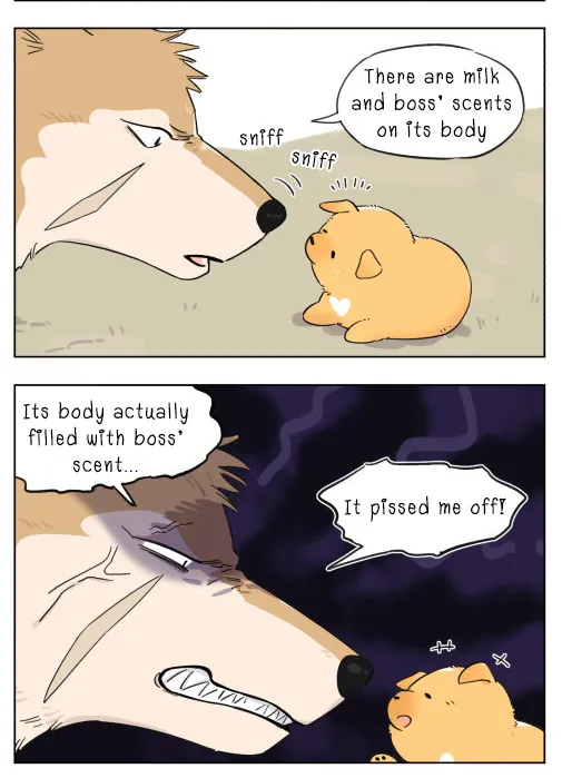 Read The Wolf That Picked Something Up chapter 4 image 5 on Lezhin