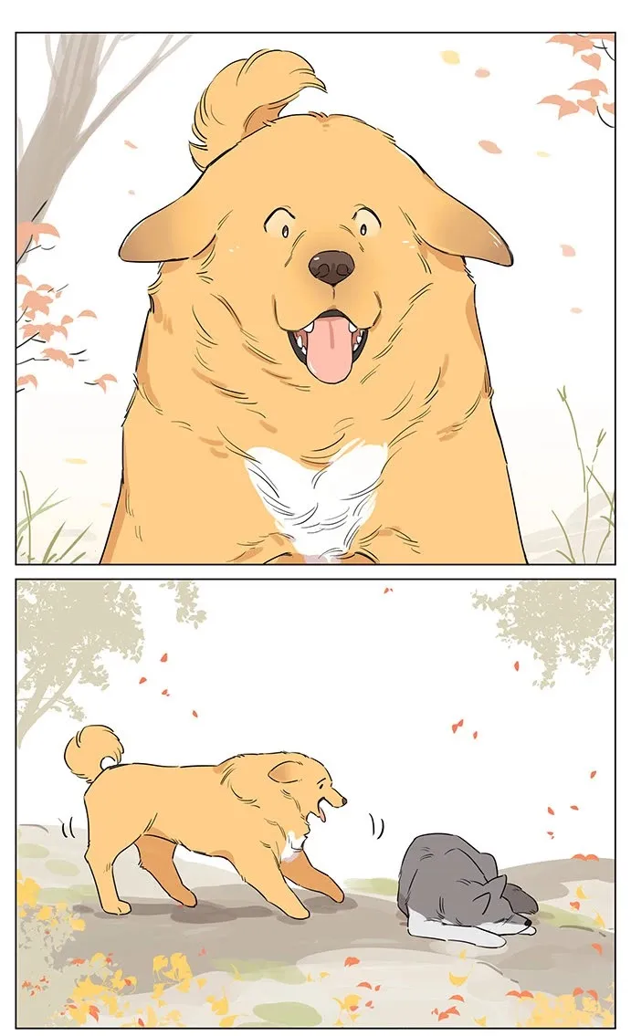 Read The Wolf That Picked Something Up chapter 49 image 3 on Lezhin